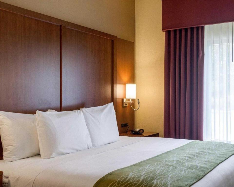 Comfort Suites Старквілл Екстер'єр фото